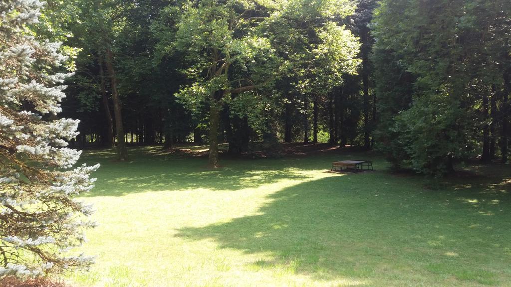 Balneario Casa Pallotti Carranza Dış mekan fotoğraf